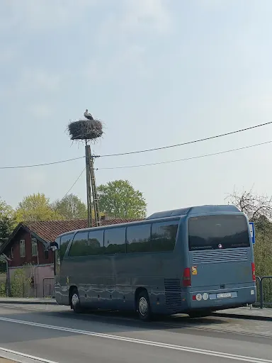 Ewa Wynajem busów i autobusów